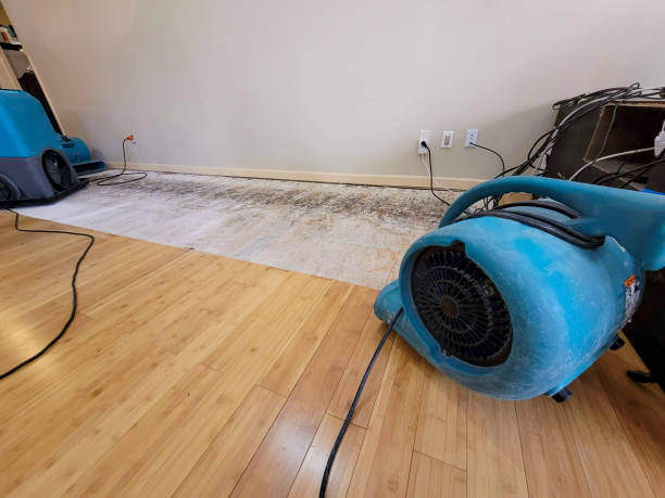 Professional Sewage Cleanup technician working in Columbus, OH
